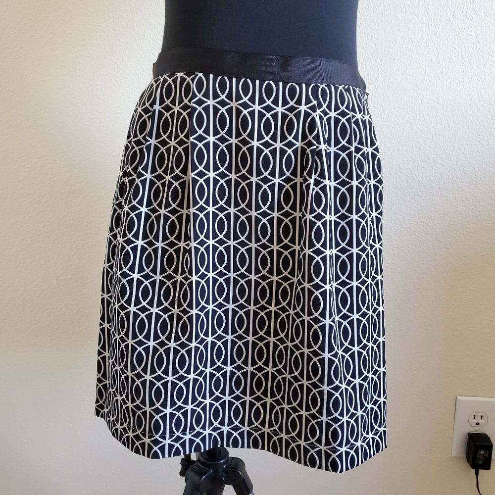 Banana Republic Skirt Size 2